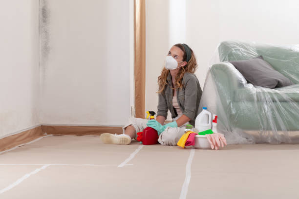 Reliable Mold Removal contractor in Carrboro, NC by WQB Mold Removal